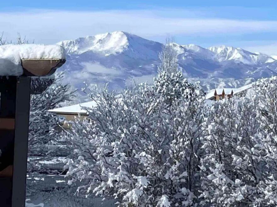 A snowy mountain with trees and bushes in the foreground.