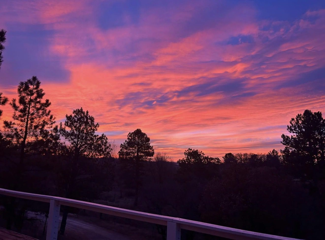 Vibrant sunset sky over silhouetted trees.
